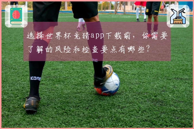 选择世界杯竞猜app下载前,你需要了解的风险和检查要点有哪些?
