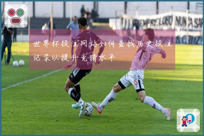 世界杯投注网站如何查找历史投注记录以提升竞猜水平